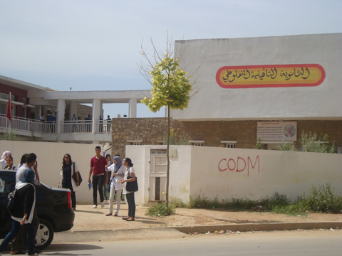 manfalouti2012